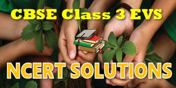 NCERT Solutions for Class 3 EVS Chapter 12 Work We Do