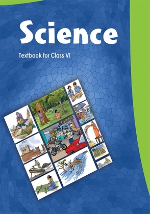 NCERT Solutions for Class 6 Science