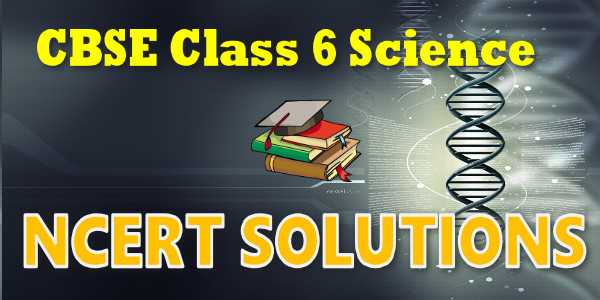 NCERT Solutions For Class 6 Science | MyCBSEguide