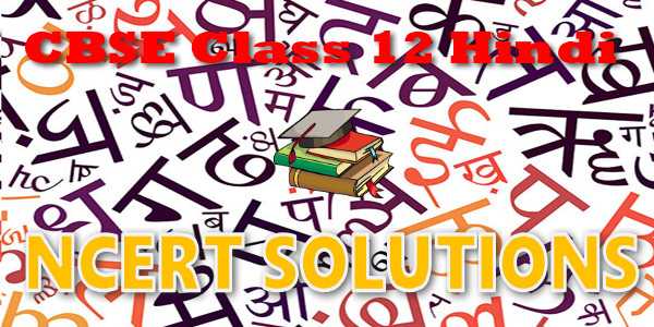 NCERT Solutions Class 12 Hindi Core Silver Wedding | MyCBSEguide