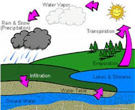 Air Water Weather worksheet for class 5