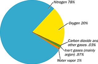 Air around Us worksheet for class 6