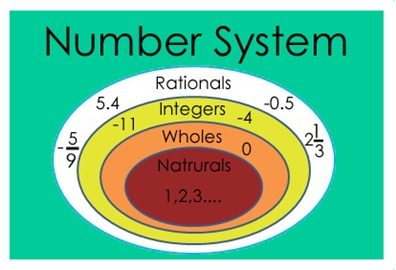 Number Systems worksheet for class 5