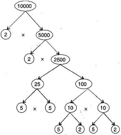 Playing with Numbers worksheet for class 6