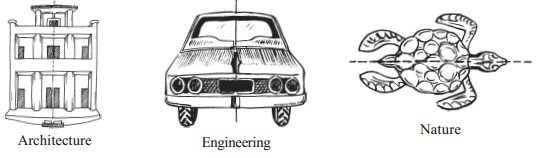 Symmetry worksheet for class 7