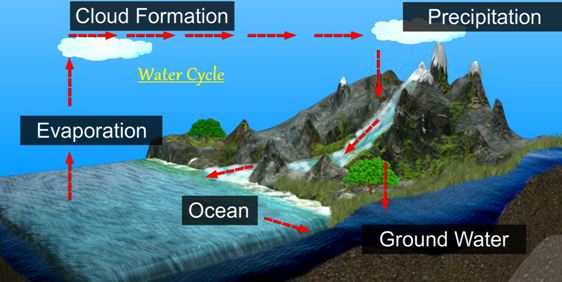 Water A Precious Resource worksheet for class 7