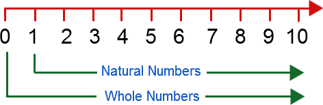Whole Numbers worksheet for class 6